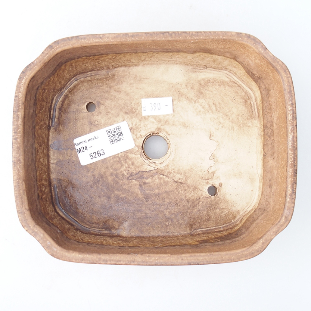 Ciotola per bonsai in ceramica 17,5 x 14 x 4,5 cm, colore diverso