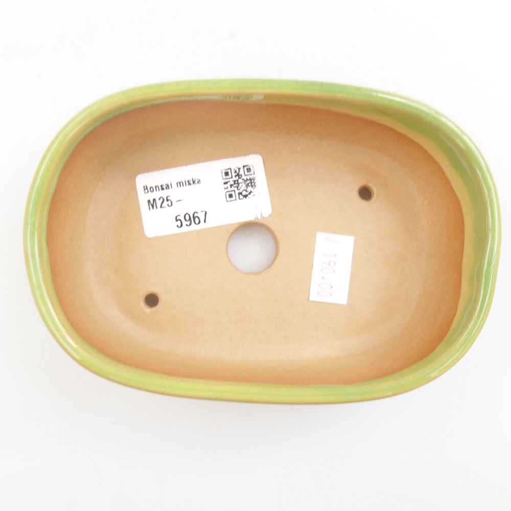 Ciotola bonsai in ceramica 22 x 17 x 5 cm, verde