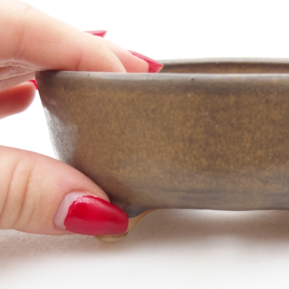 Ciotola per bonsai in ceramica 11 x 11 x 4,5 cm, marrone