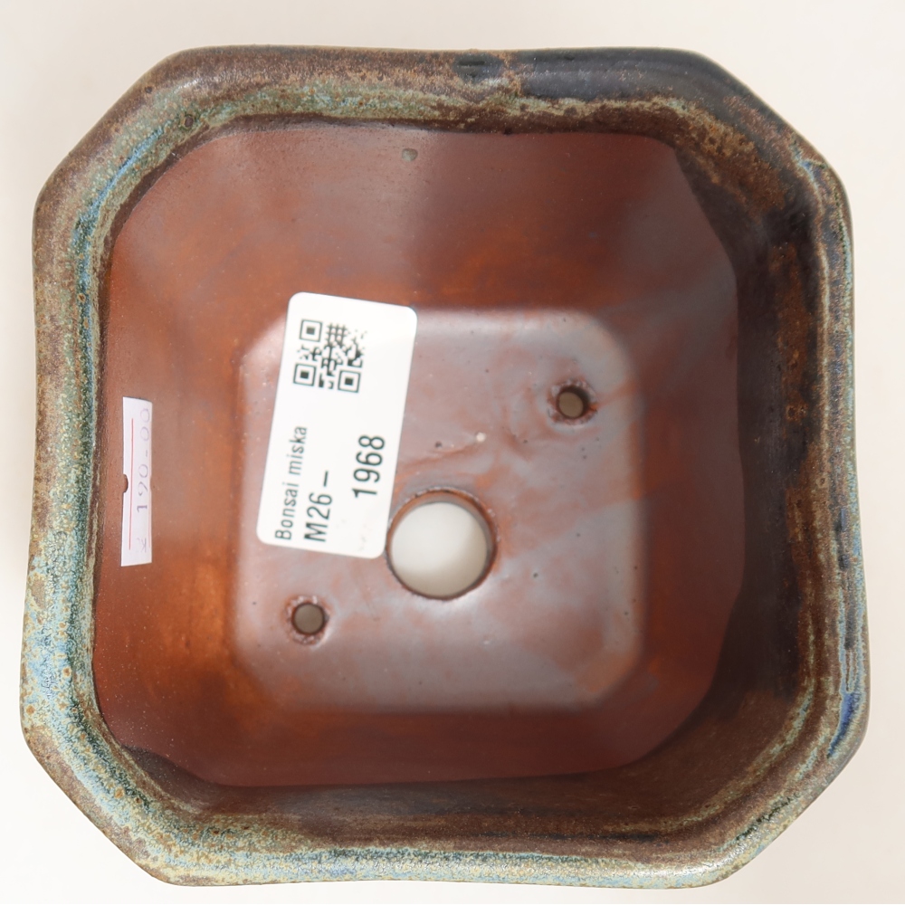 Vaso da bonsai in ceramica 10 x 10 x 6,5 cm, colore verde-marrone