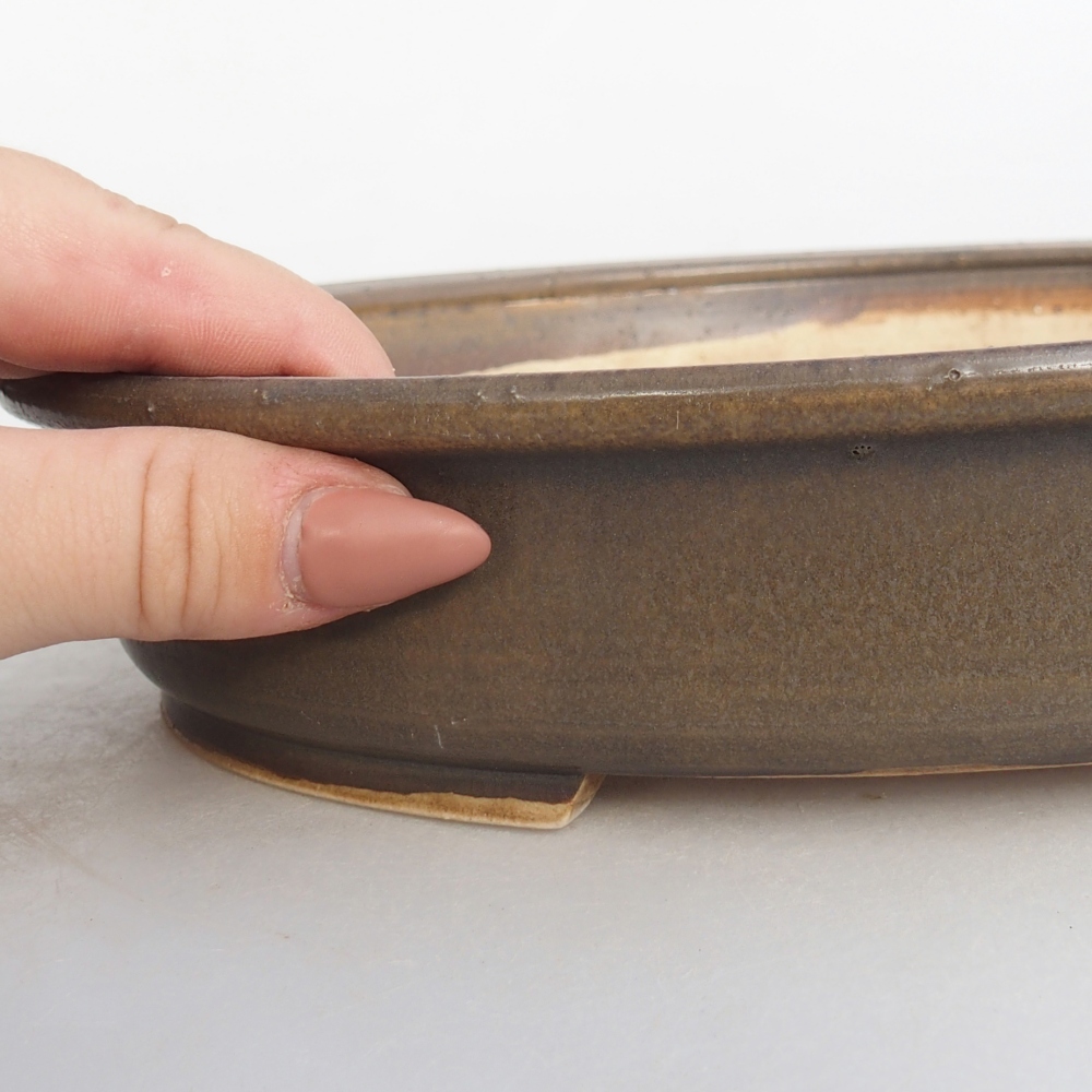 Ciotola per bonsai in ceramica 24 x 20,5 x 5 cm, marrone