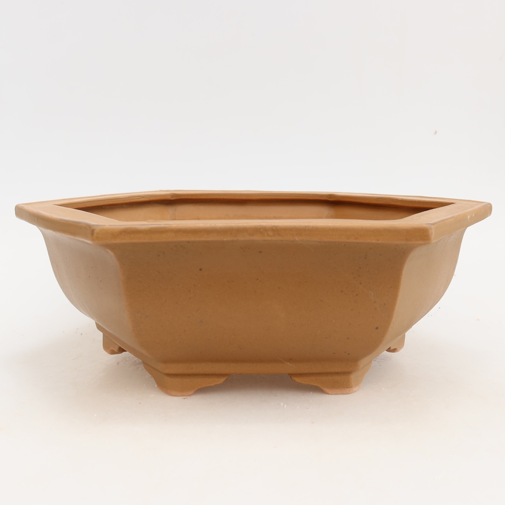 Vaso da bonsai in ceramica 28 x 24,5 x 9 cm, colore marrone