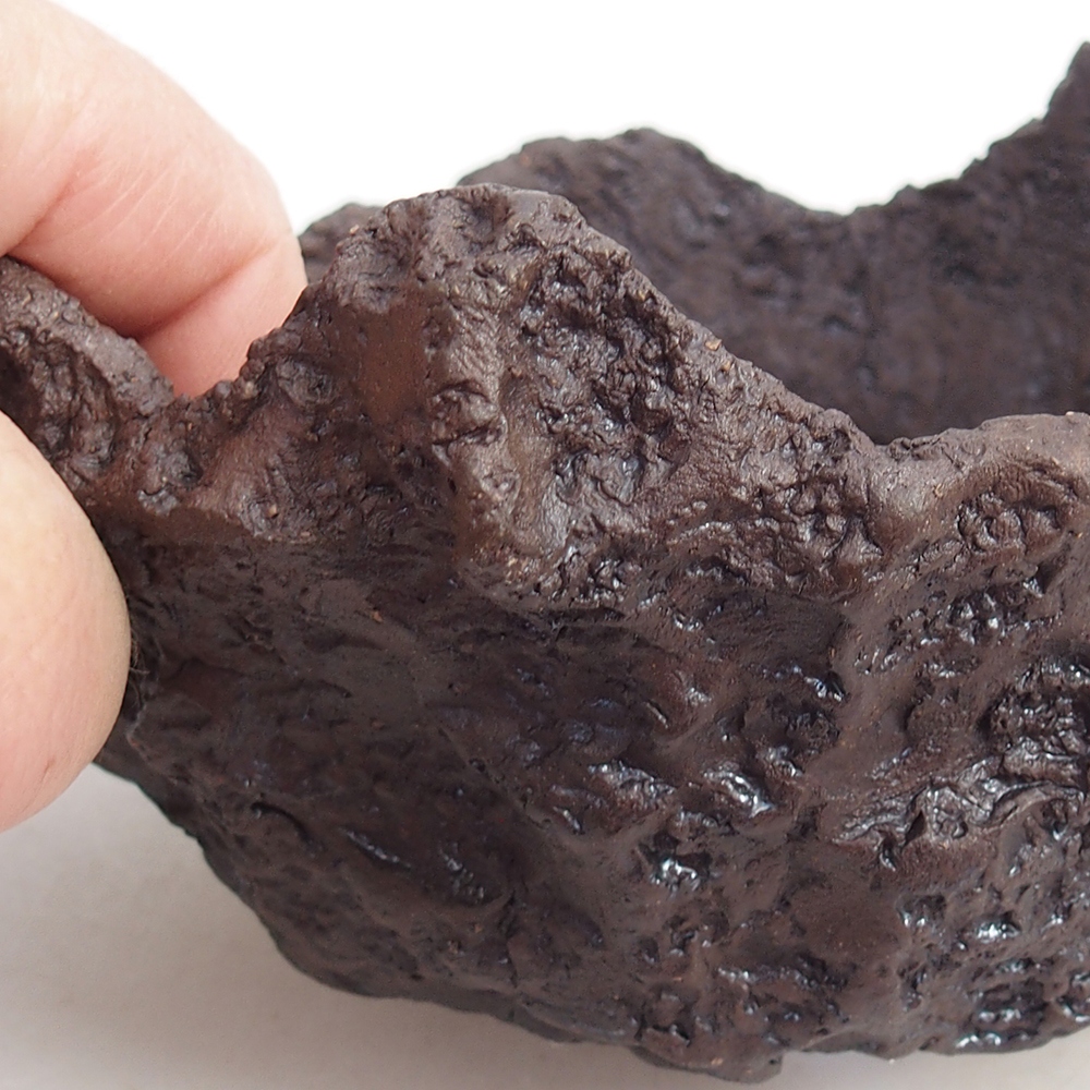 Conchiglia in ceramica 14 x 13 x 13 cm , colore marrone