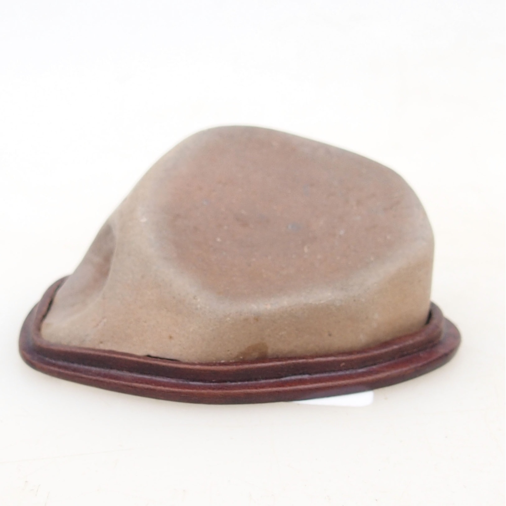 Suiseki - Pietra con DAI (base in legno)