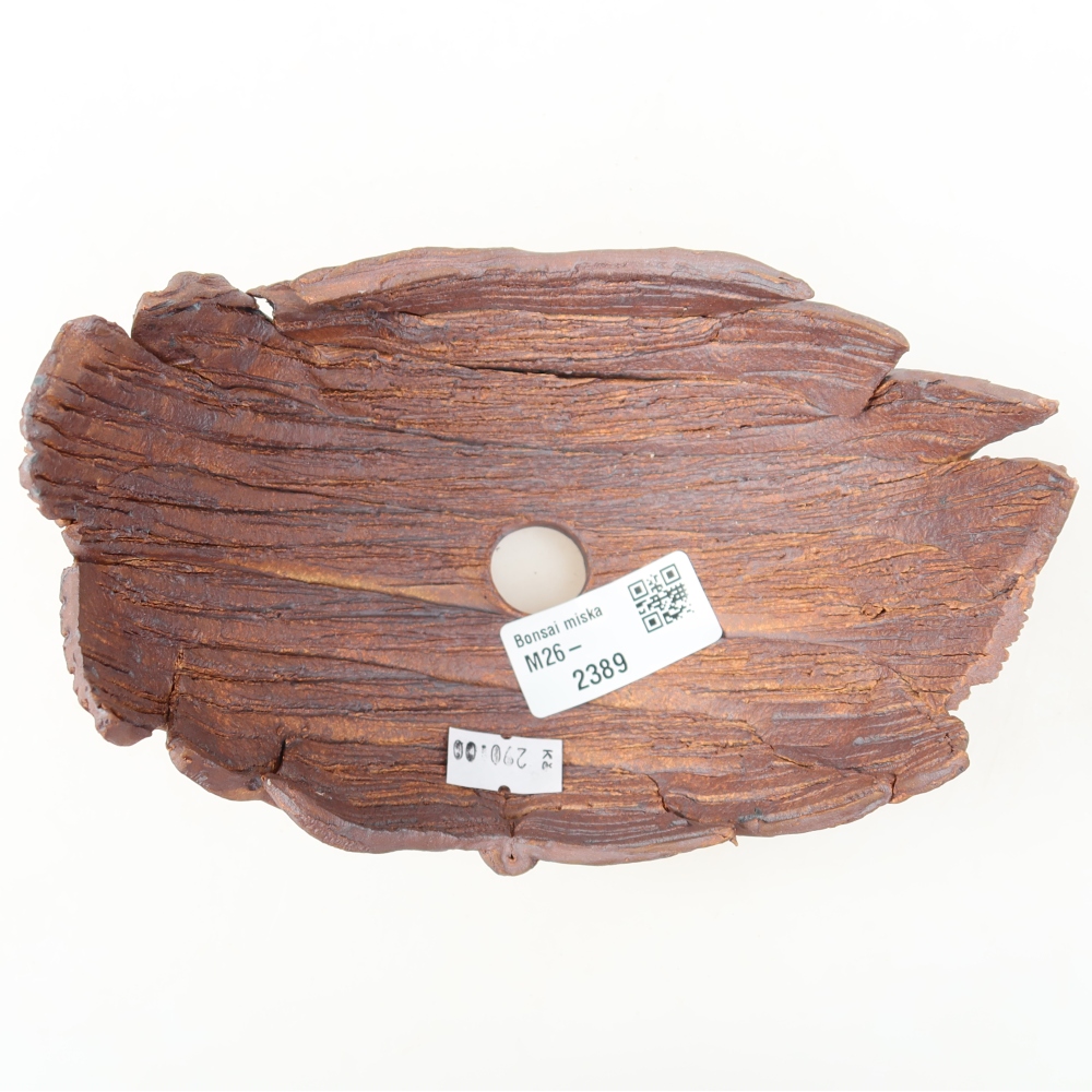 Guscio in ceramica  15,5 x 10,5 x 10,5 cm, colore marrone