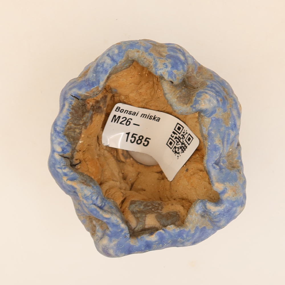 Guscio in ceramica  5 x 4 x 5 cm, colore blu