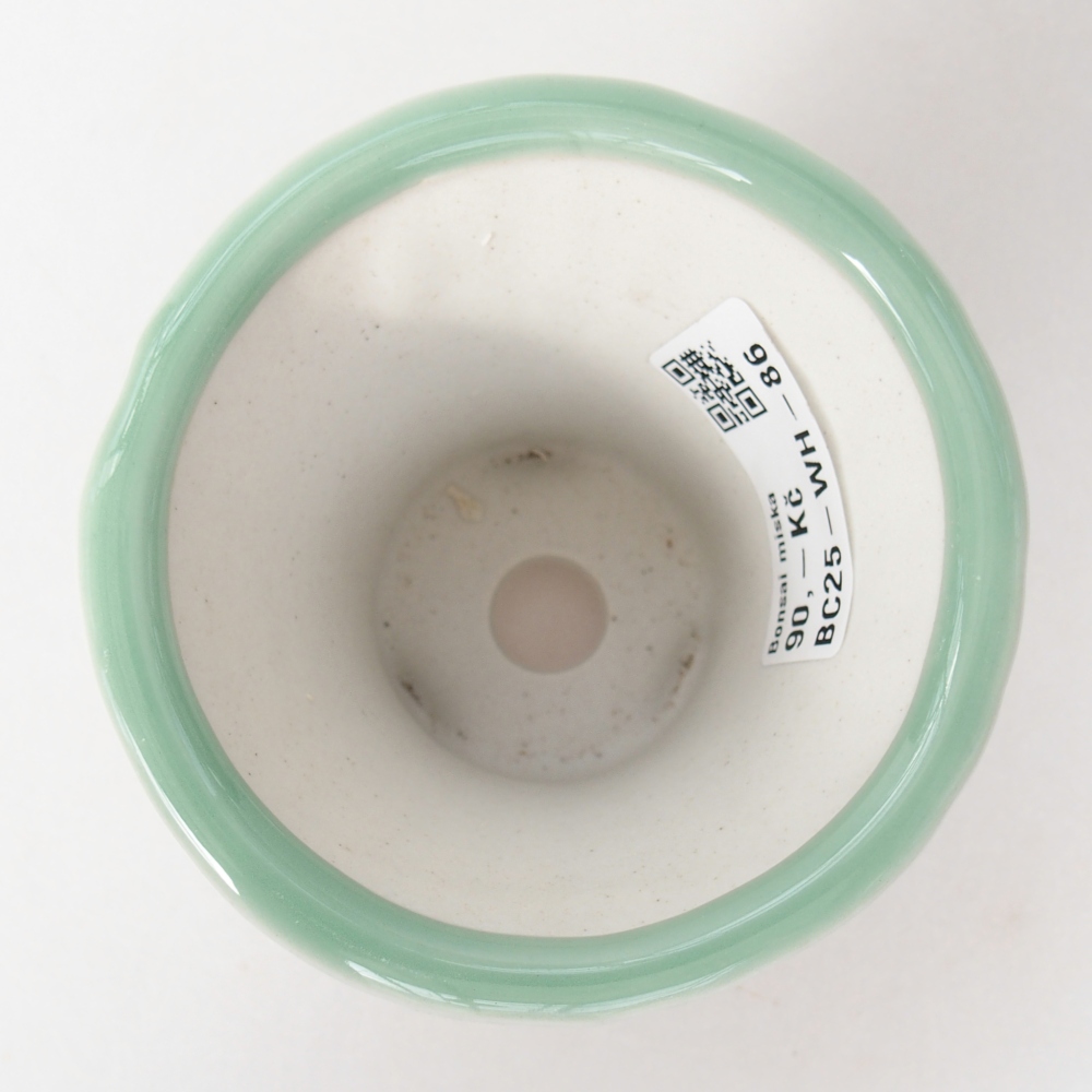 Ciotola per bonsai in ceramica 9 x 9 x 8 cm, verde