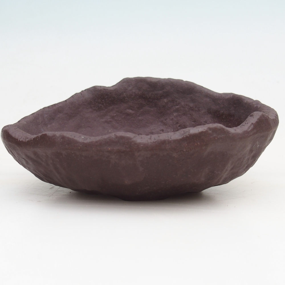 Conchiglia in ceramica 15 x 11 x 6,5 cm , colore marrone