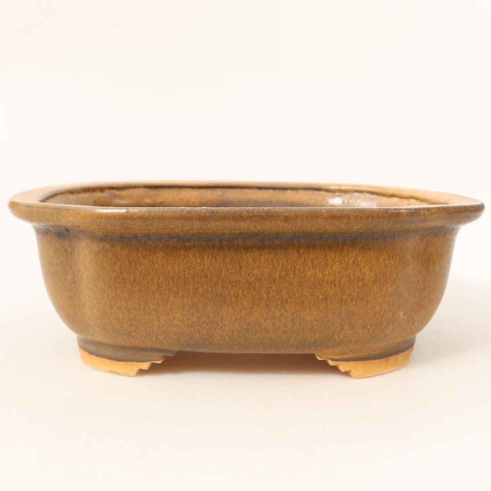 Vaso da bonsai in ceramica 20,5 x 16,5 x 7 cm, colore marrone