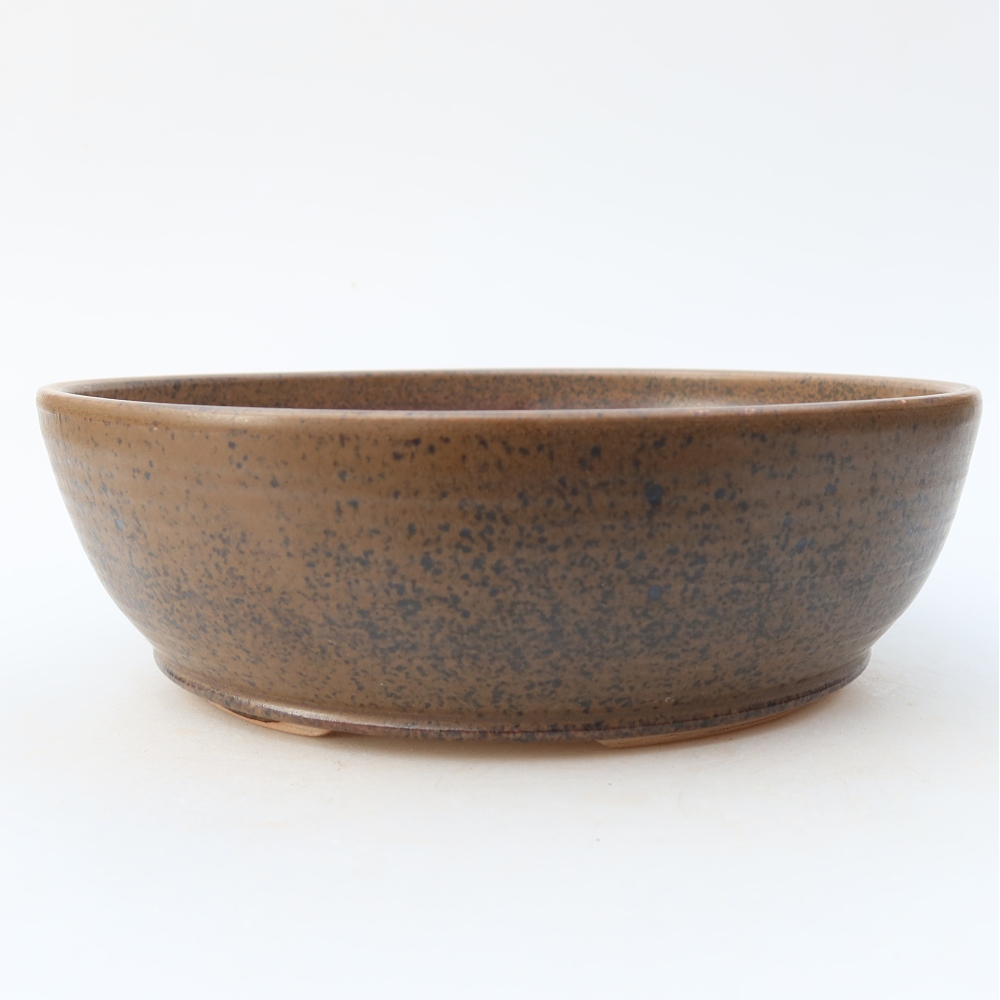 Ciotola per bonsai in ceramica 21 x 21 x 6,5 cm, marrone