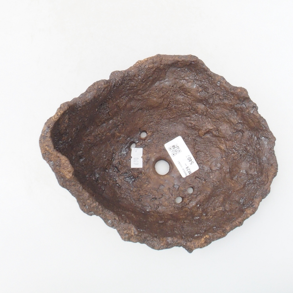 Conchiglia in ceramica 18 x 17 x 17,5 cm , colore marrone