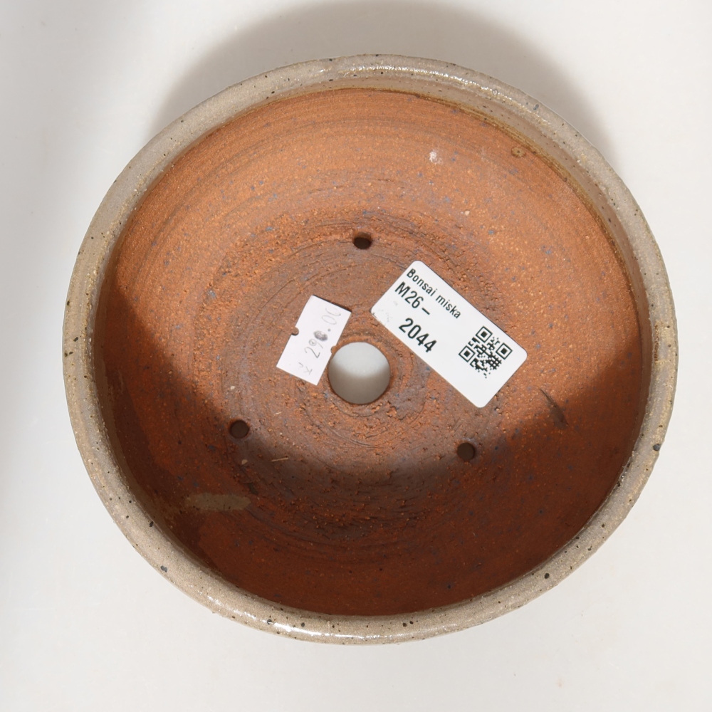 Vaso da bonsai in ceramica 14 x 14 x 5,5 cm, colore beige