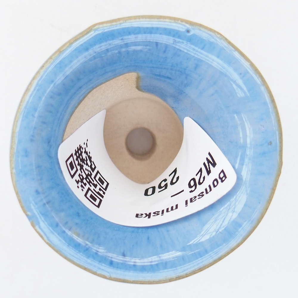 Mini bonsai 4,5 x 4,5 x 3,5 cm, colore blu