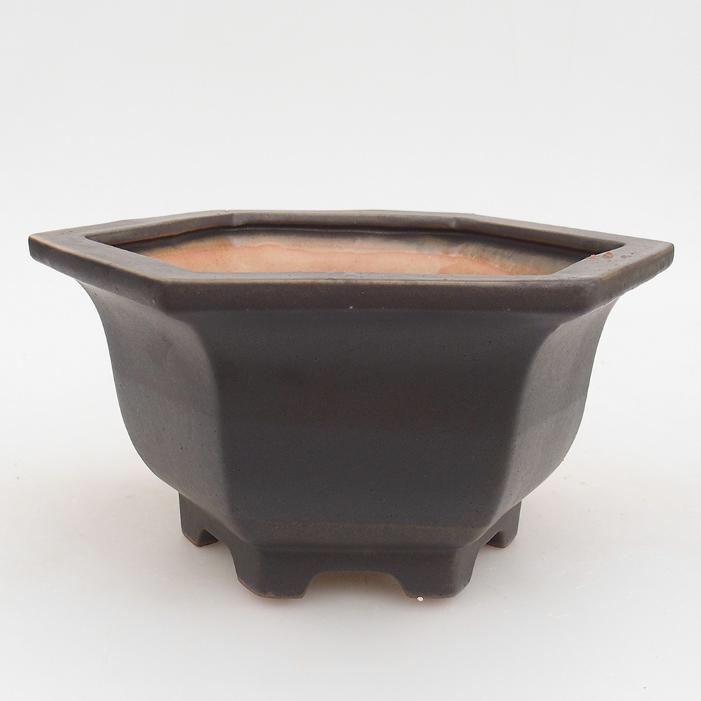 Ciotola bonsai in ceramica 18 x 16 x 9 cm, verde