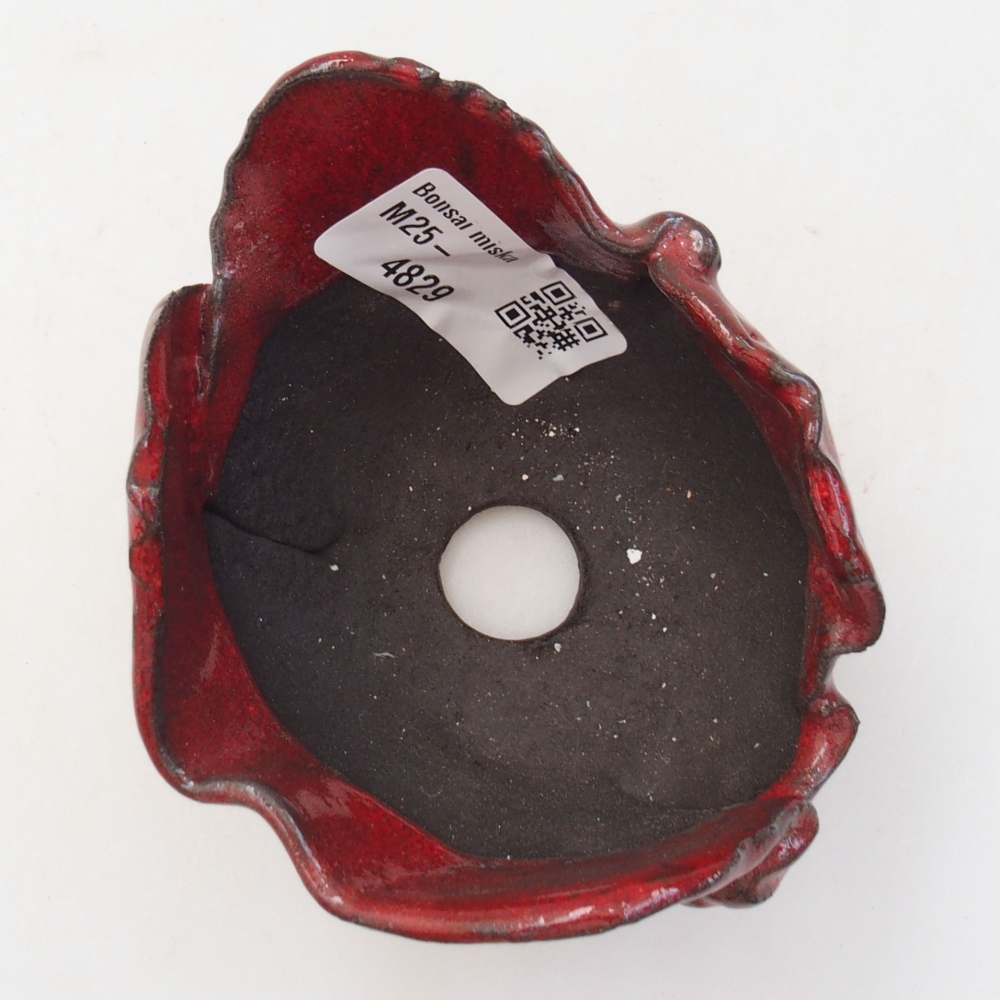 Guscio in ceramica 8 x 7 x 5,5 cm , colore rosso