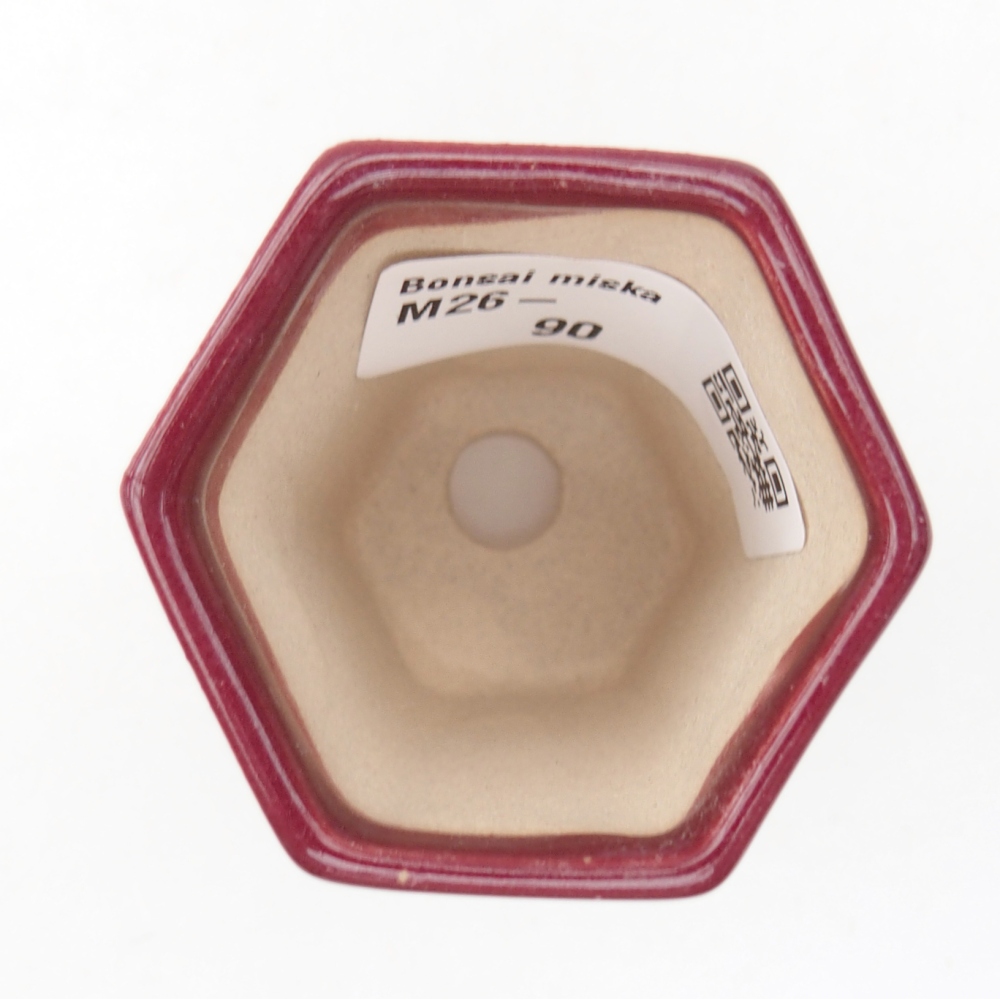 Ciotola per mini bonsai 5 x 4,5 x 6,5 cm, bordeaux
