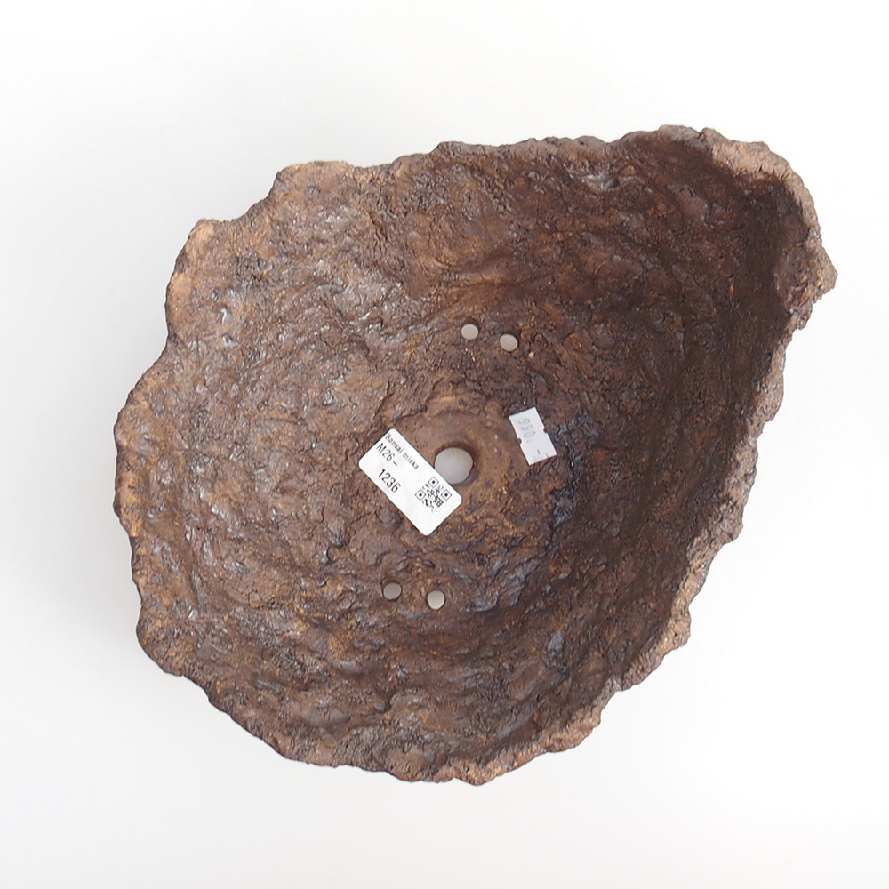 Conchiglia in ceramica 22 x 20 x 17,5 cm , colore marrone