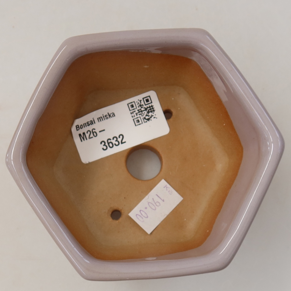 Vaso da bonsai in ceramica 10 x 9 x 5 cm, colore viola