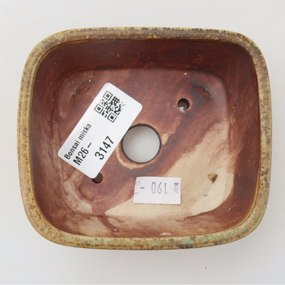 Ciotola per bonsai in ceramica 10 x 8,5 x 4 cm, verde