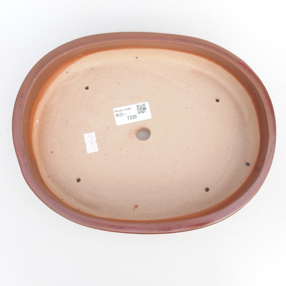 Ciotola bonsai in ceramica 27 x 21 x 5 cm, bordeaux