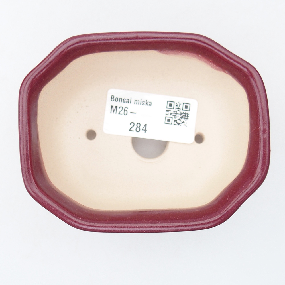 Mini bonsai 9 x 7 x 4,5 cm, bordeaux
