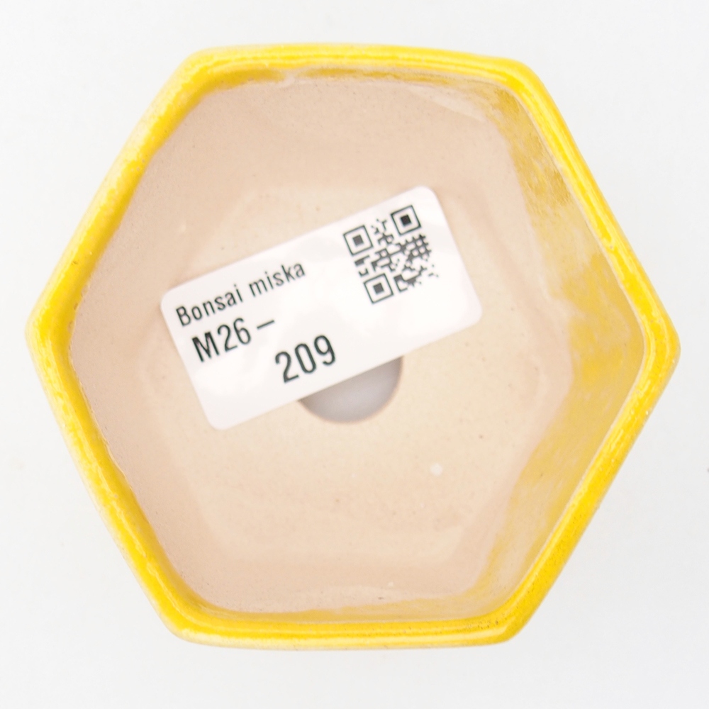 Ciotola per mini bonsai 7 x 6,5 x 4,5 cm, giallo