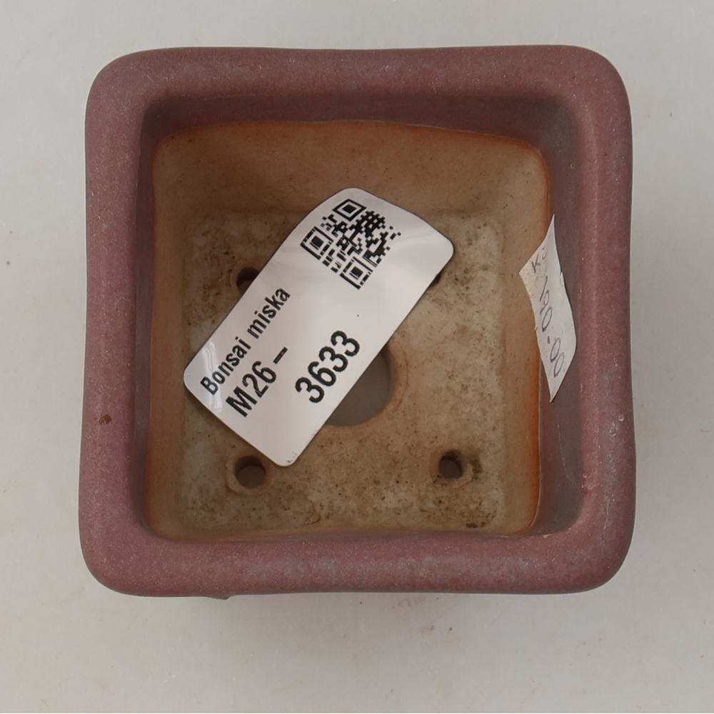 Ciotola per bonsai in ceramica 6,5 x 6,5 x 5 cm, colore viola