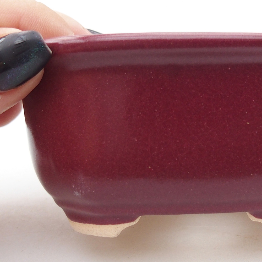 Mini bonsai 9 x 7 x 4,5 cm, bordeaux