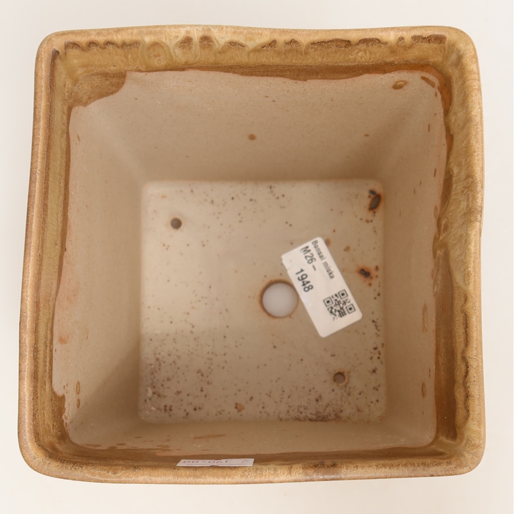 Ciotola bonsai in ceramica 13 x 13 x 13,5 cm, colore beige
