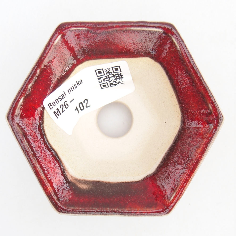 Mini bonsai 8 x 7 x 3 cm, colore rosso