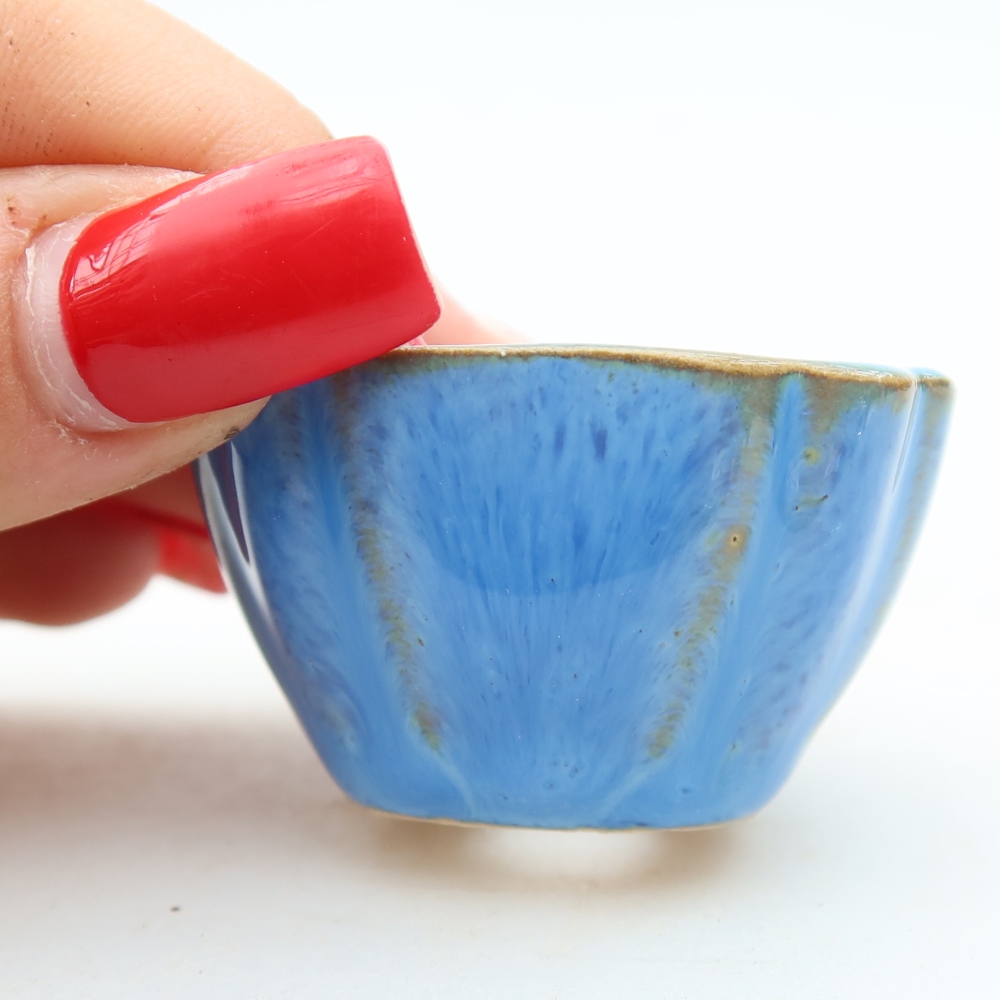 Ciotola per bonsai in ceramica 4,5 x 4,5 x 2,5 cm, colore blu