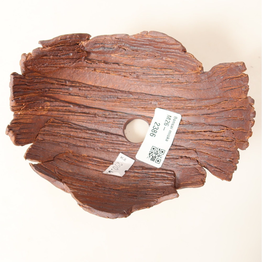 Guscio in ceramica  14,5 x 11,5 x 7,5 cm, colore marrone