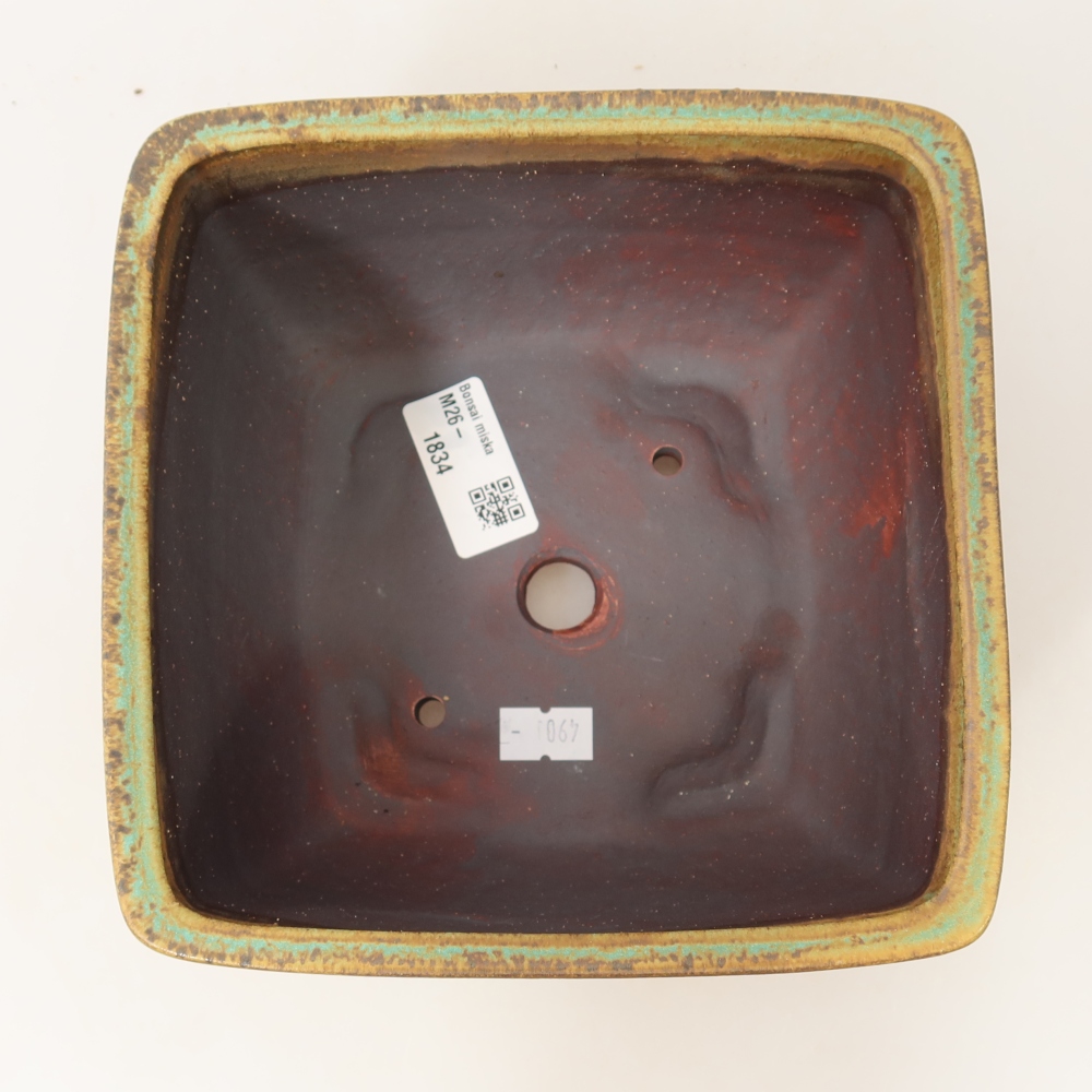 Vaso da bonsai in ceramica 16,5 x 16,5 x 9,5 cm, colore verde