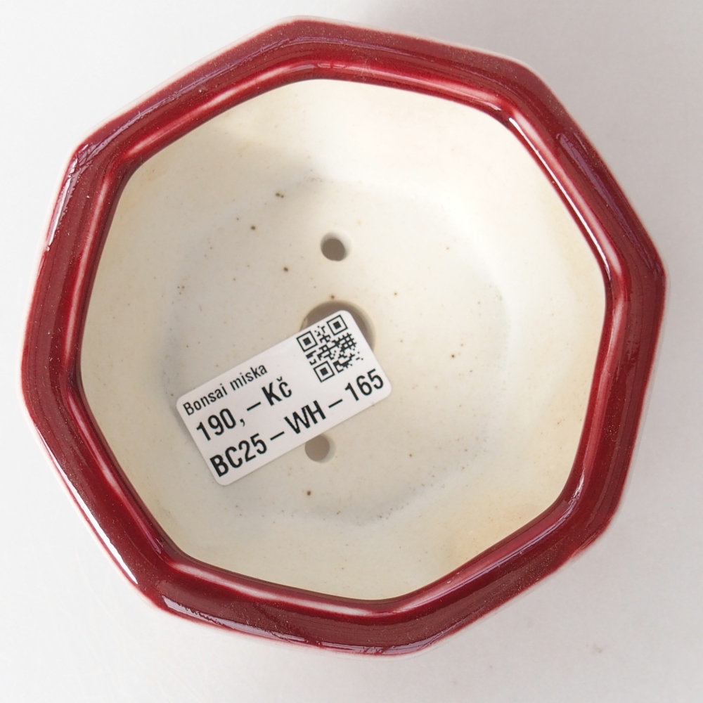 Ciotola per bonsai in ceramica 11,5 x 11 x 5 cm, colore rosso