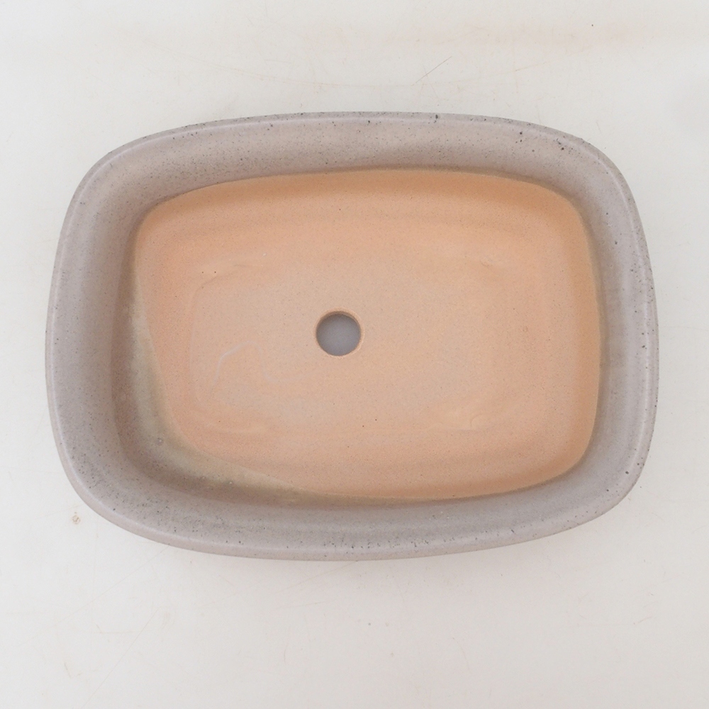 Ciotola per bonsai H02 - 19 x 13 x 5 cm - beige