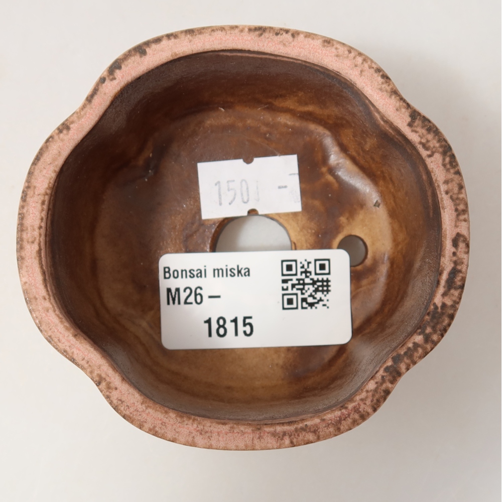 Ciotola bonsai in ceramica 8 x 7,5 x 3,5 cm, rosa