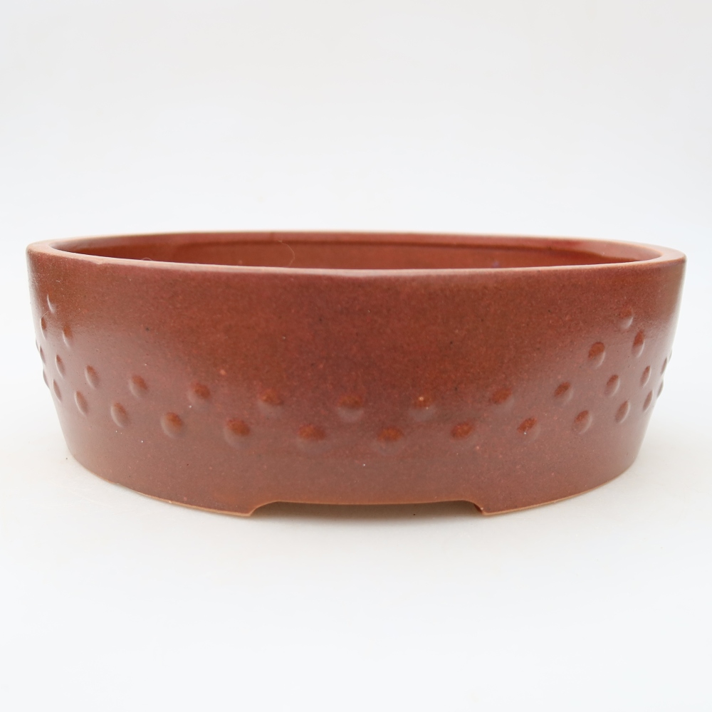 Vaso da bonsai in ceramica 24 x 24 x 7 cm, colore bordeaux