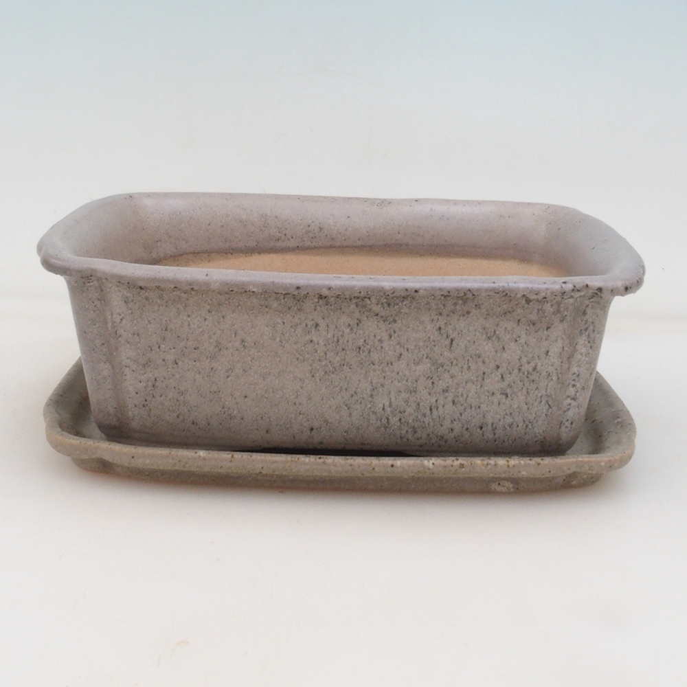 Ciotola bonsai + piattino H50 - beige