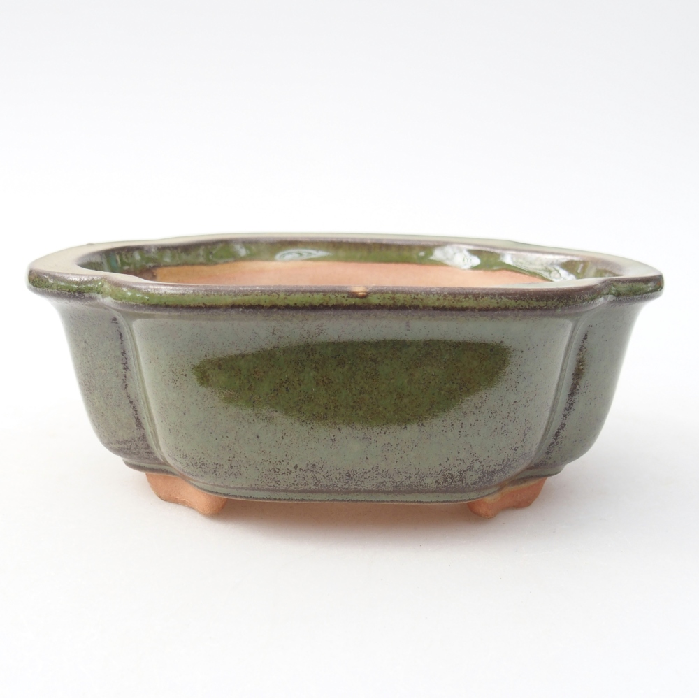 Ciotola bonsai in ceramica 13 x 10 x 5 cm, verde