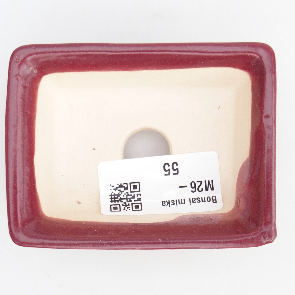 Mini bonsai 8 x 6 x 2,5 cm, bordeaux