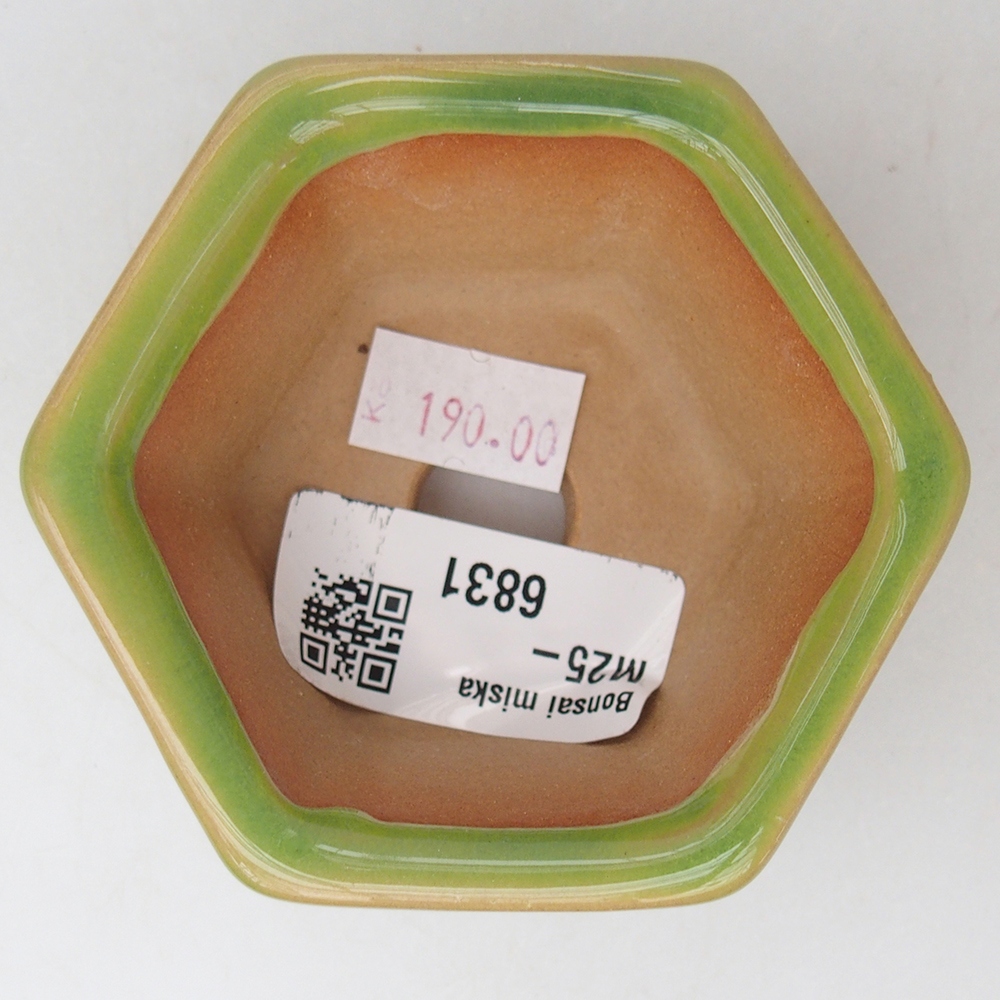 Ciotola per bonsai in ceramica 7,5 x 7 x 4 cm, verde