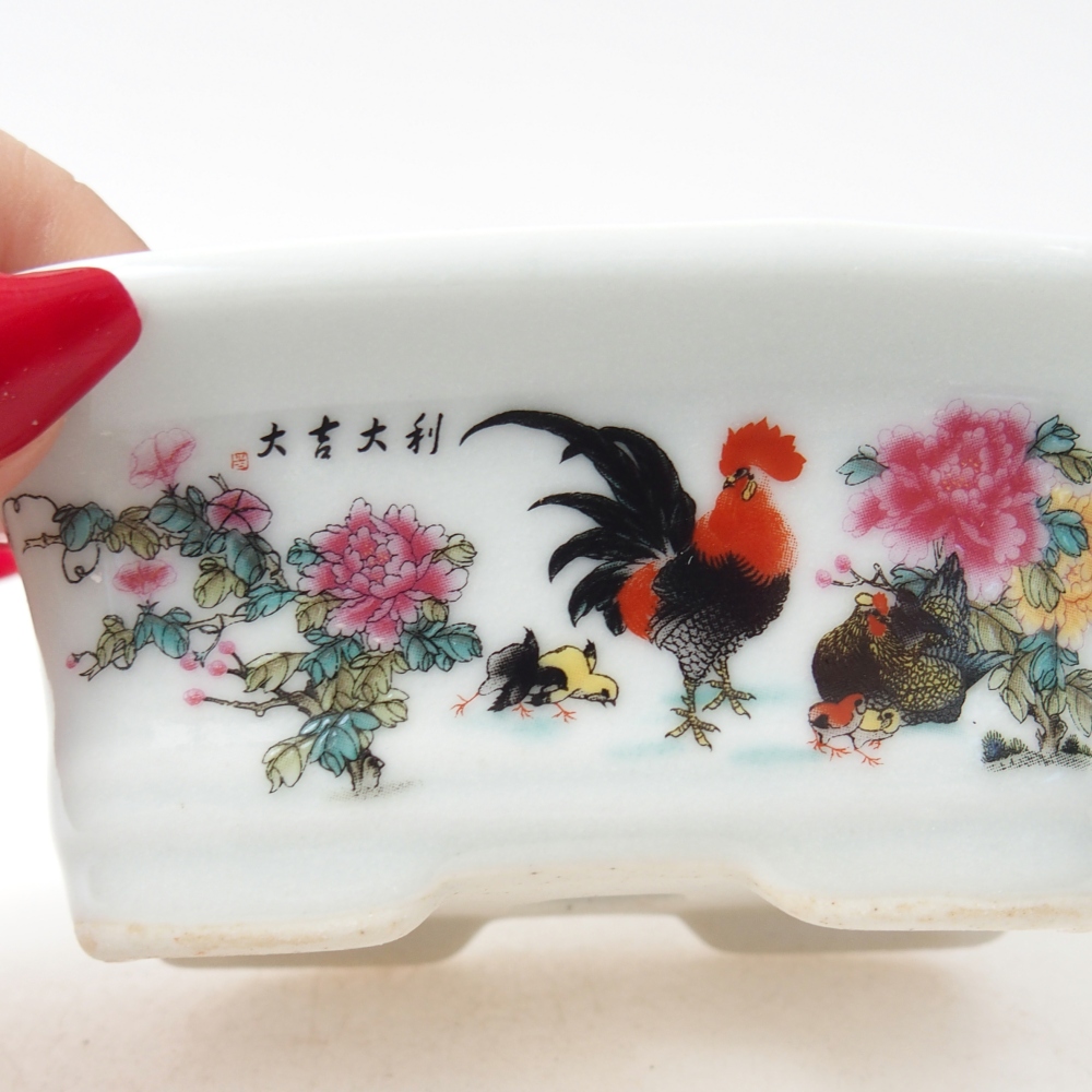 Mini bonsai 10 x 7,5 x 4 cm, colore bianco