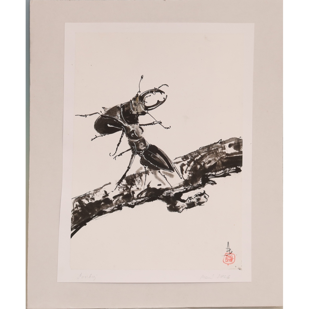 Calligrafia - Duello
