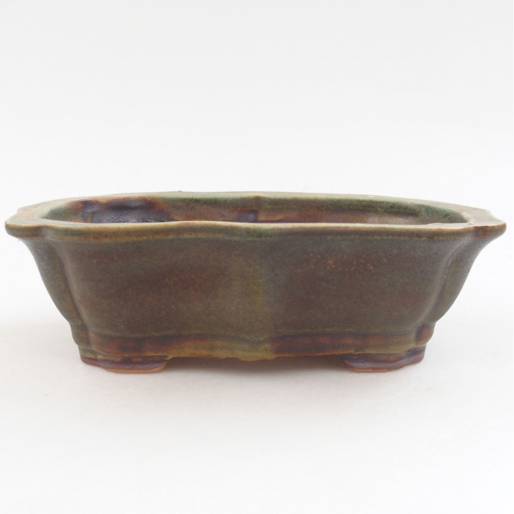 Ciotola bonsai in ceramica 22 x 17 x 5 cm, verde