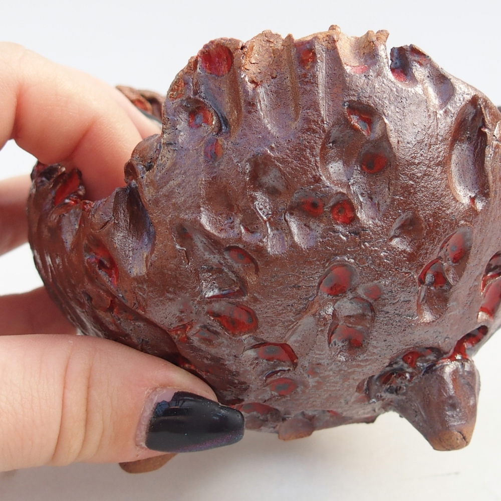 Conchiglia in ceramica 10 x 9,5 x 8 cm , colore marrone