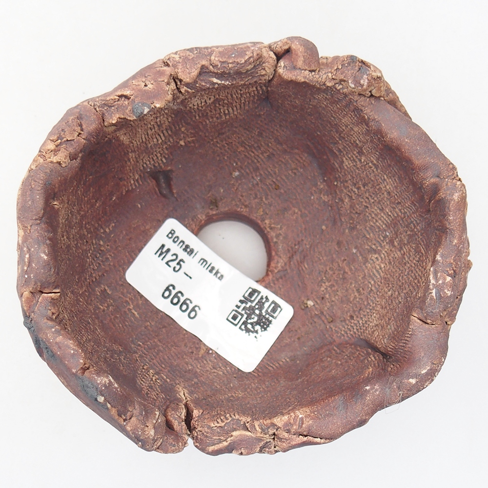 Conchiglia in ceramica 9 x 8,5 x 6 cm , colore marrone