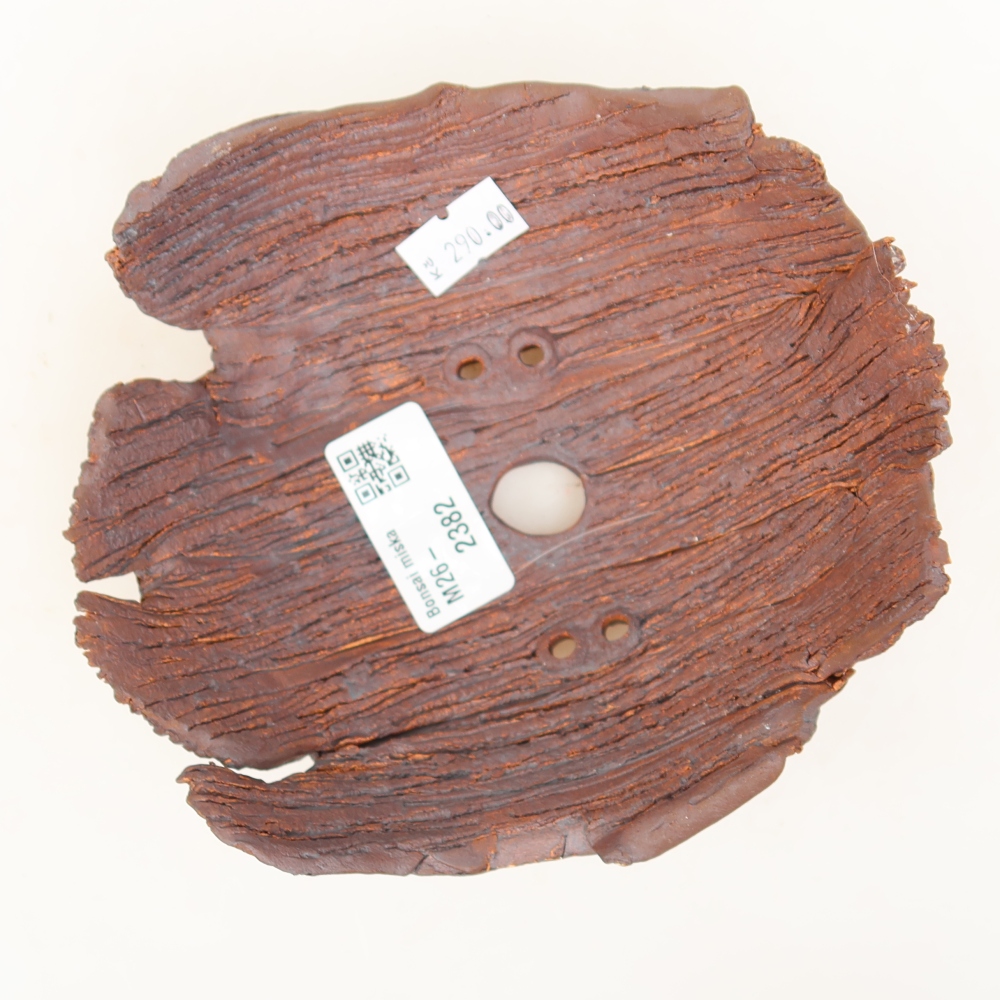 Conchiglia in ceramica  15 x 13 x 6,5 cm, colore marrone