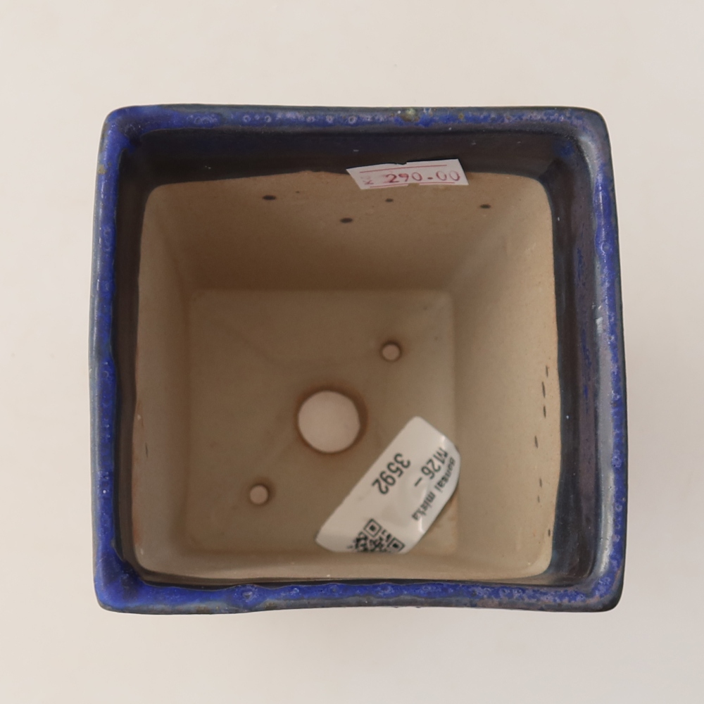 Ciotola bonsai in ceramica 9 x 9 x 12,5 cm, colore blu