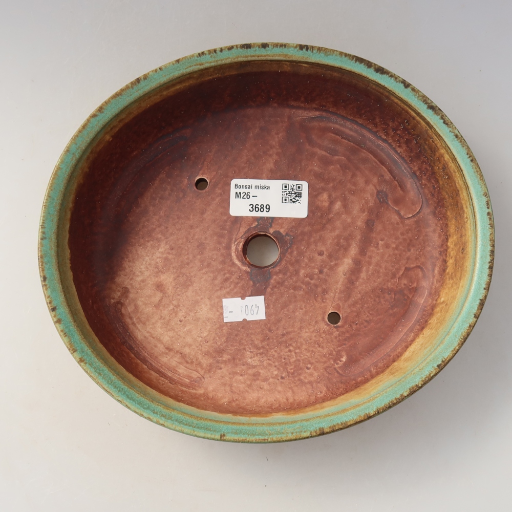 Ciotola bonsai in ceramica 21 x 19 x 5 cm, verde