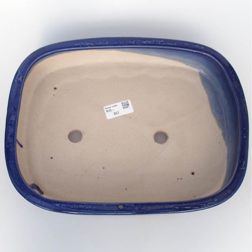 Ciotola per bonsai in ceramica 31,5 x 24 x 6 cm, colore blu